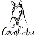 Logo cavalari