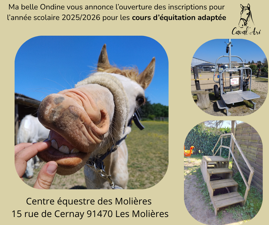 Ma belle ondine vous annonce l ouverture des inscriptions pour l annee scolaire 20252026